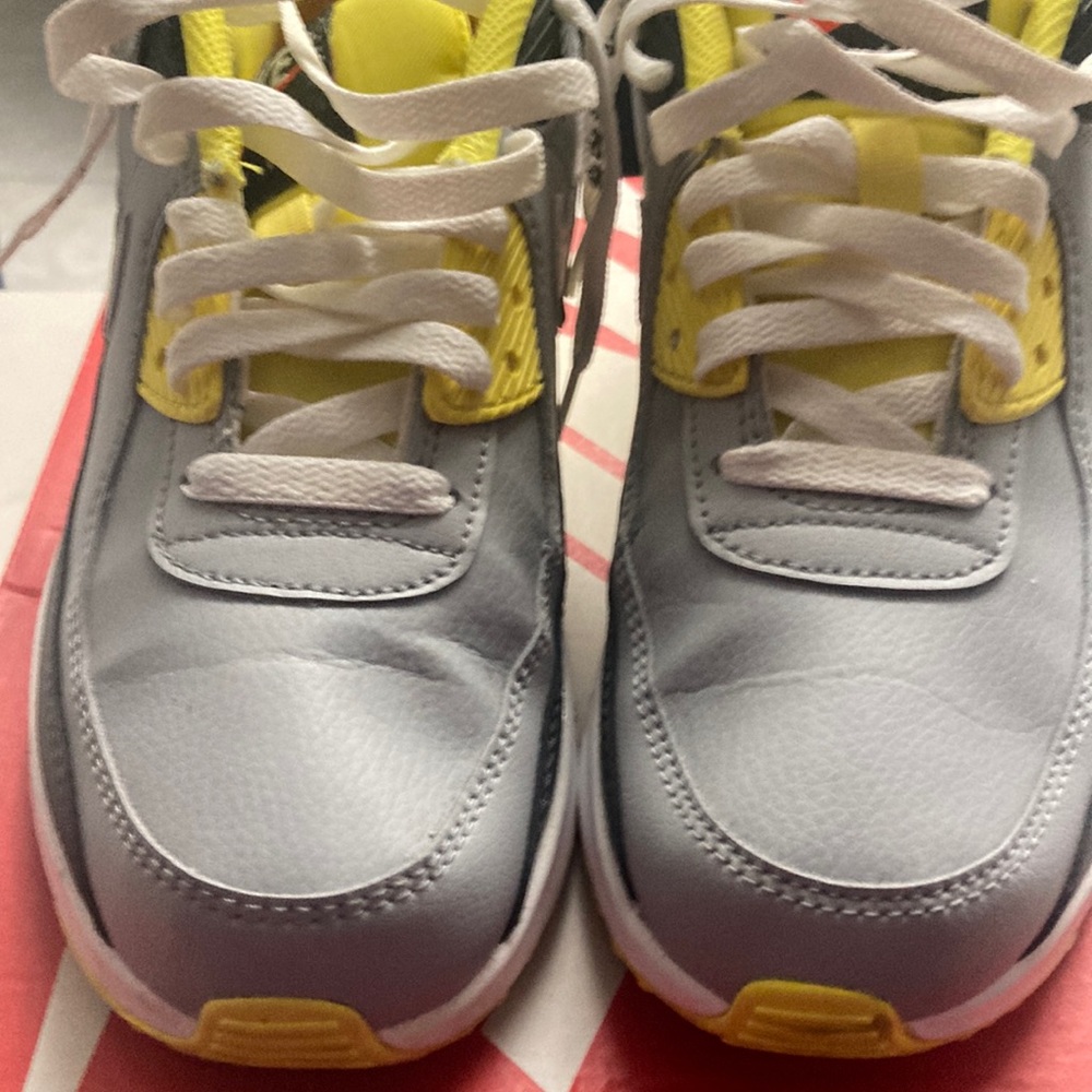 Big kids Nike Air Max 90